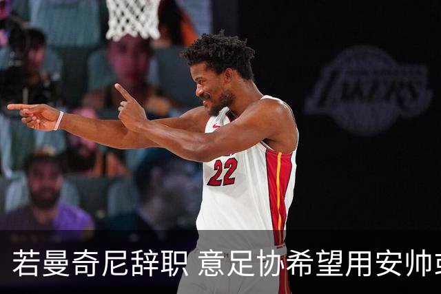 若曼奇尼辞职 意足协希望用安帅或卡纳瓦罗替代